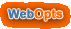 WebOpts: Website Design and Optimiztion